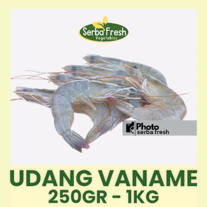 

UDANG VANAME | 250GR | SERBA FRESH