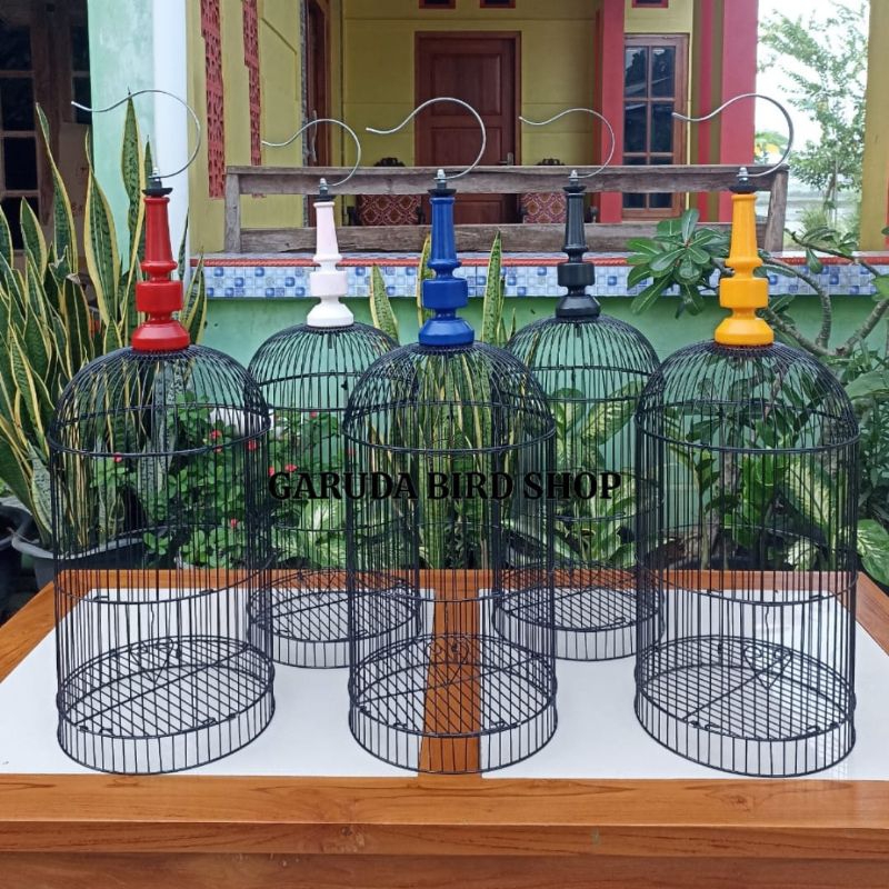 HELOPET PLECI TANPA TEBOK HELOPET PLECI MURAH