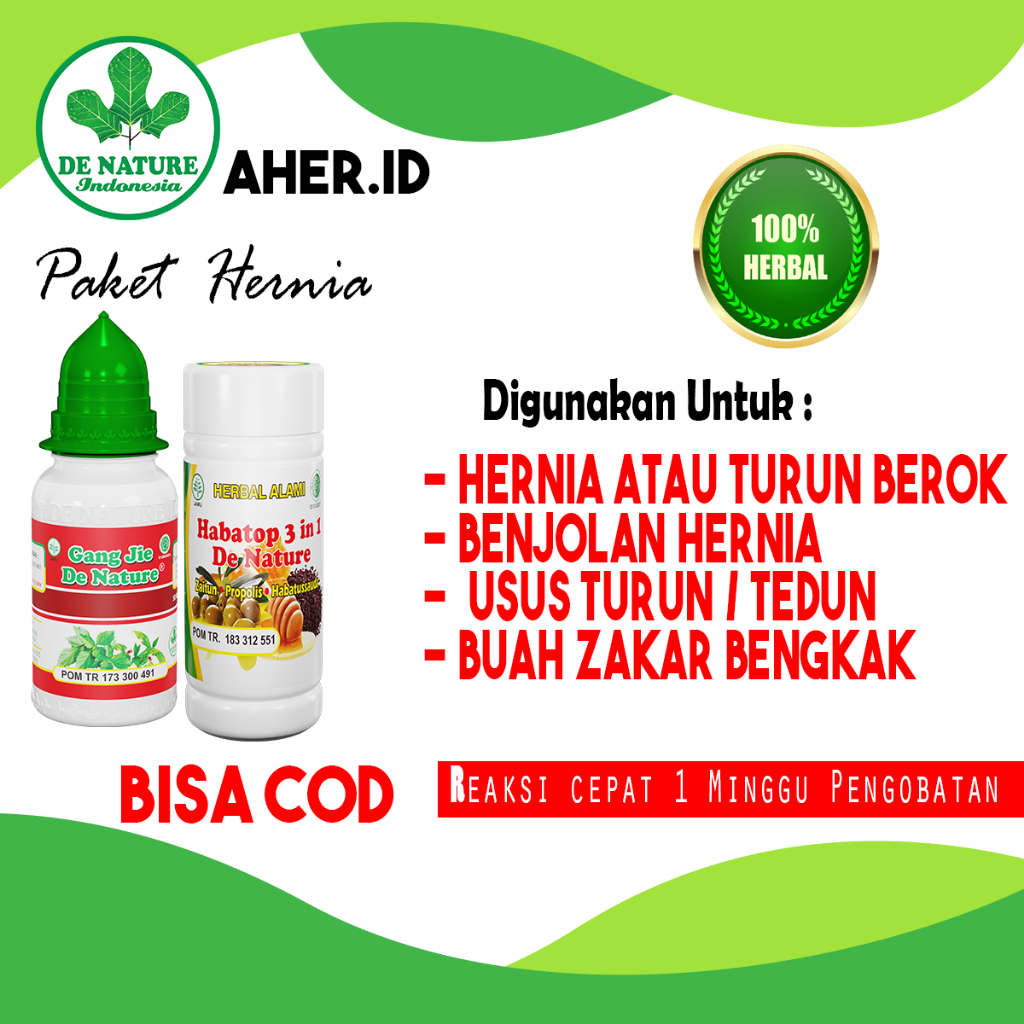 Obat Hernia Turun Berok Benjolan Hernia Alami Tanpa Operasi Ampuh Herbal De Nature