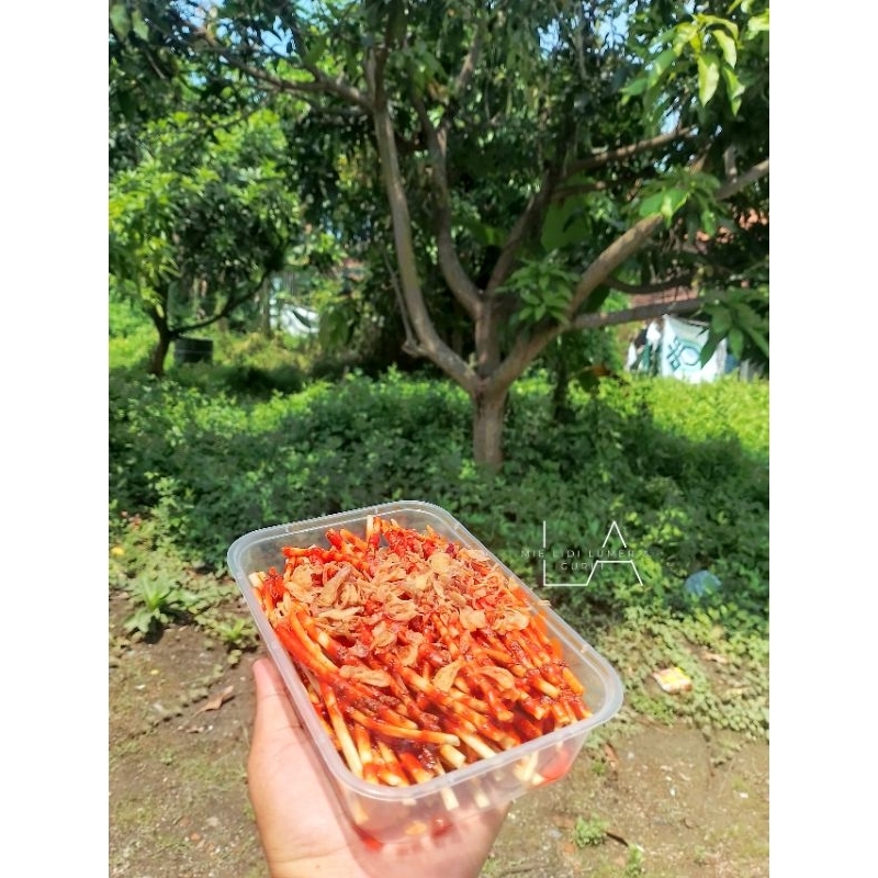 

Mie Lidi Pedas Balado