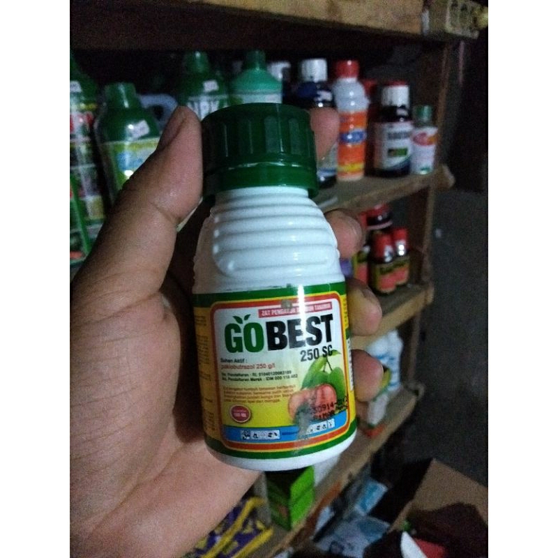 gobest 100ml zpt