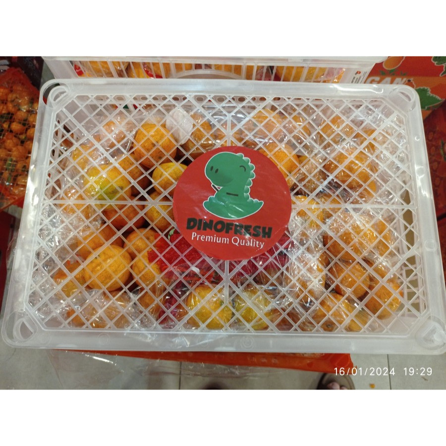 

JERUK SANTANG DINO FRESH PER KERANJANG - MANIS