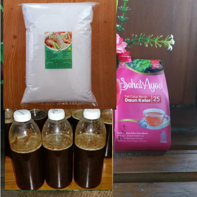 

Teh Merah Moringa Daun Kelor, Tepung Garut, dan Daun Madu Hutan, Minuman Sehat dan Kaya Manfaat yang Nikmat, Bergizi, dan Menyegarkan