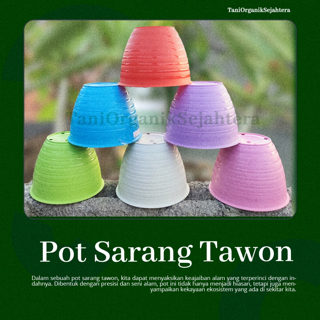Pot Sarang Tawon 12, pot bunga kecil berukuran 12 cm, menghadirkan desain unik dan ceria dengan mode