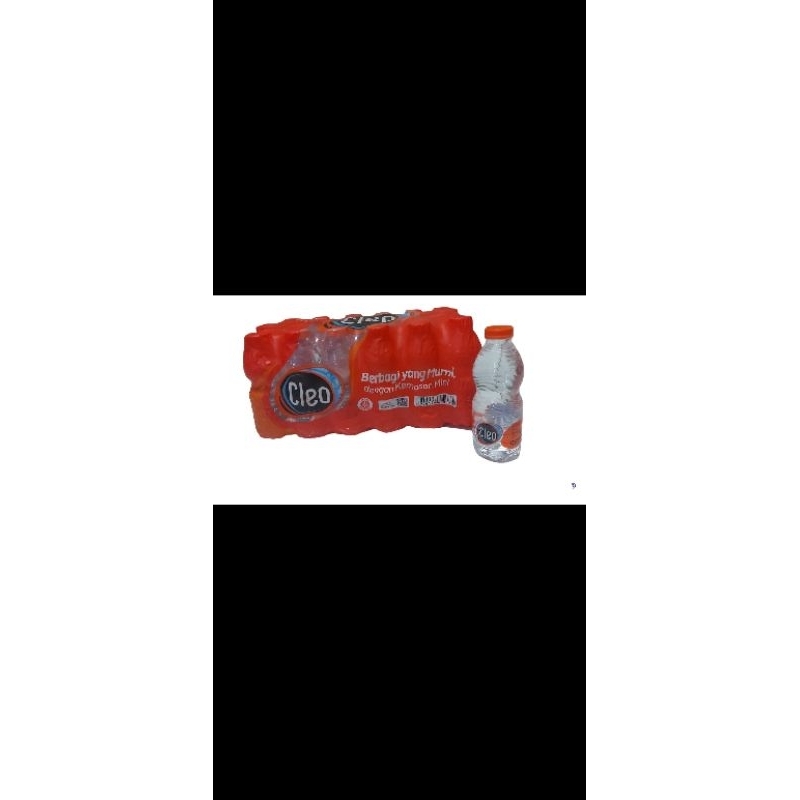 

air mineral cleo 220mlx24