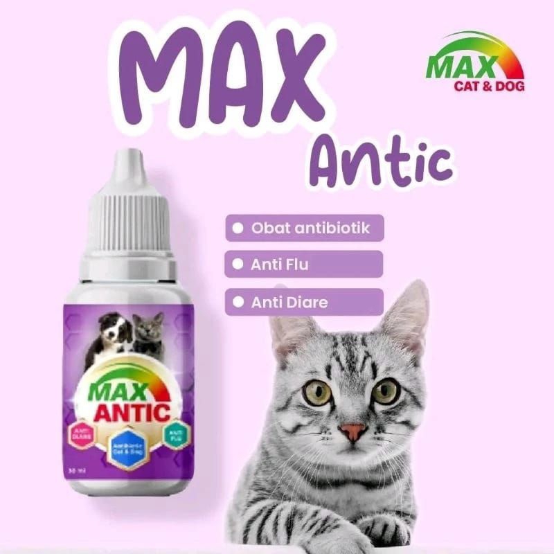Max Antic Antibiotik Hewan Anjing dan Kucing Diare Flu