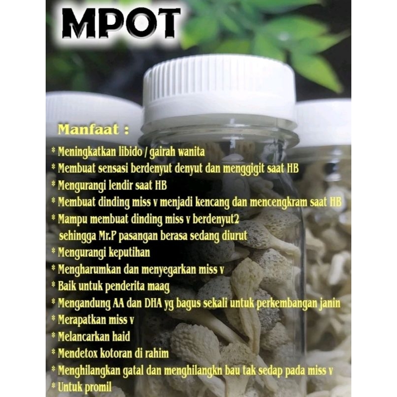 

PAKET USAHA 10 BOTOL MPOT PUTIH UTUH ISI 70 BUTIR UTUH