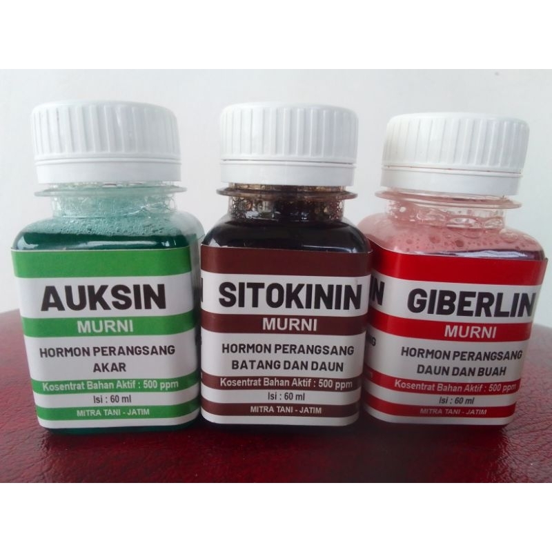 ZPT Auksin, Sitokinin, Giberlin