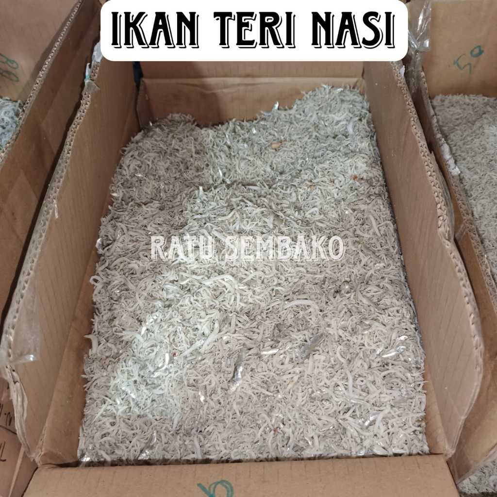 

Telaris Teri Medan 500 gram Kualitas Bagus