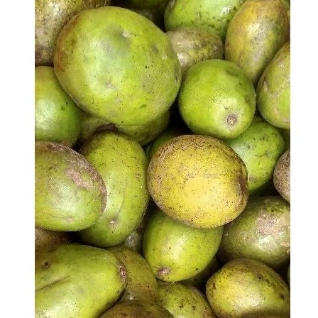 

Buah Kedondong Perkg