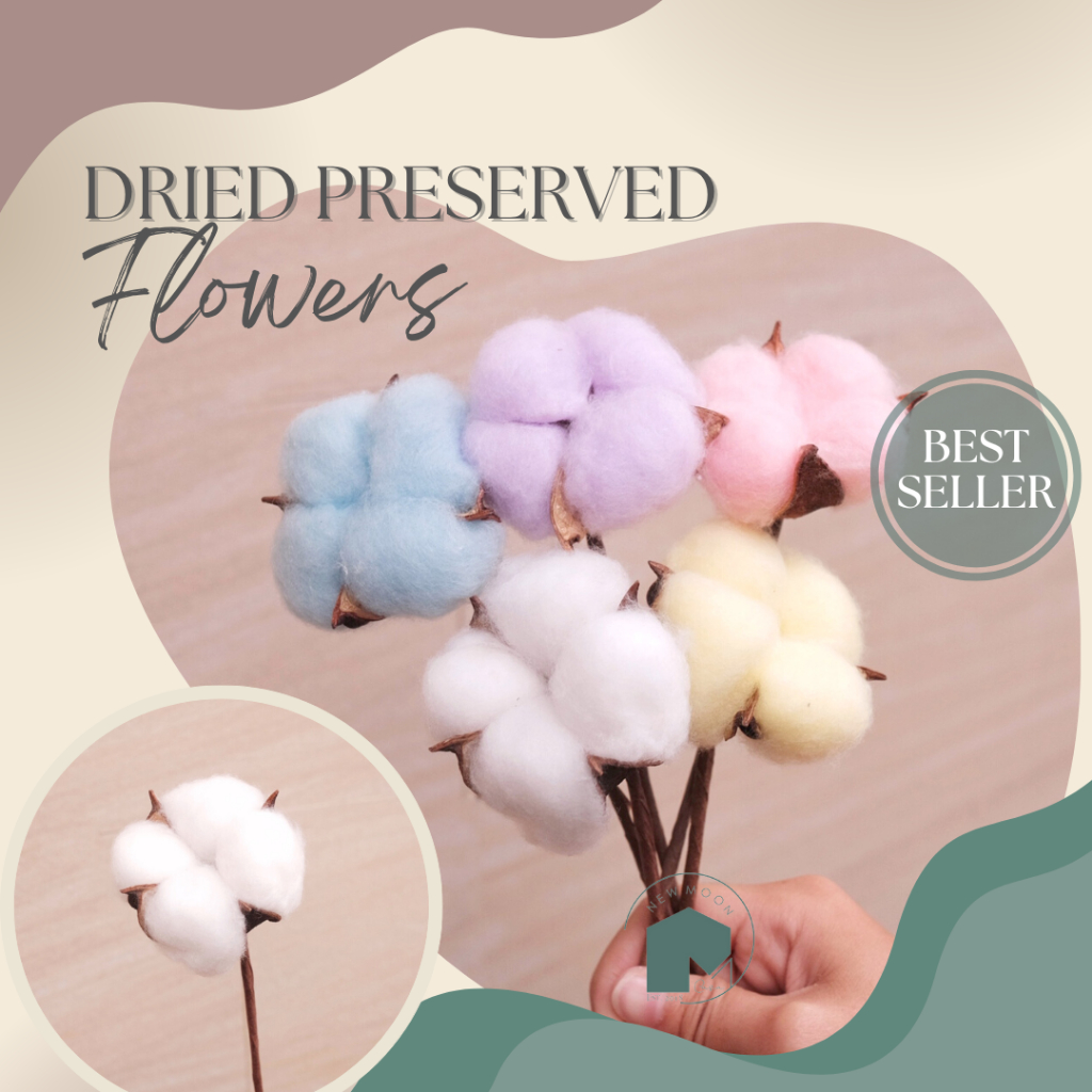 Flowers Dried cotton bunga kapas kering buket bouquet preserved bunga asli dekorasi hiasan untuk vas