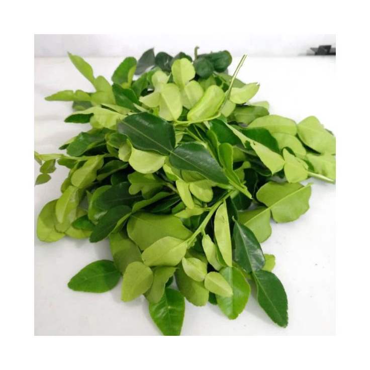 

MEGA SALE Daun jeruk per pack daun jeruk bumbu masakan Rempah Rempah