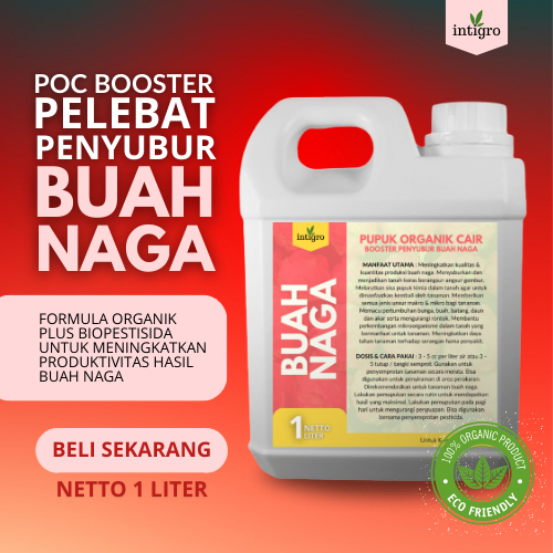 Pupuk Buah Naga Agar Berbuah Lebat / Pupuk Buah Naga Merah / Pupuk Pelebat Buah Naga / Pupuk Booster