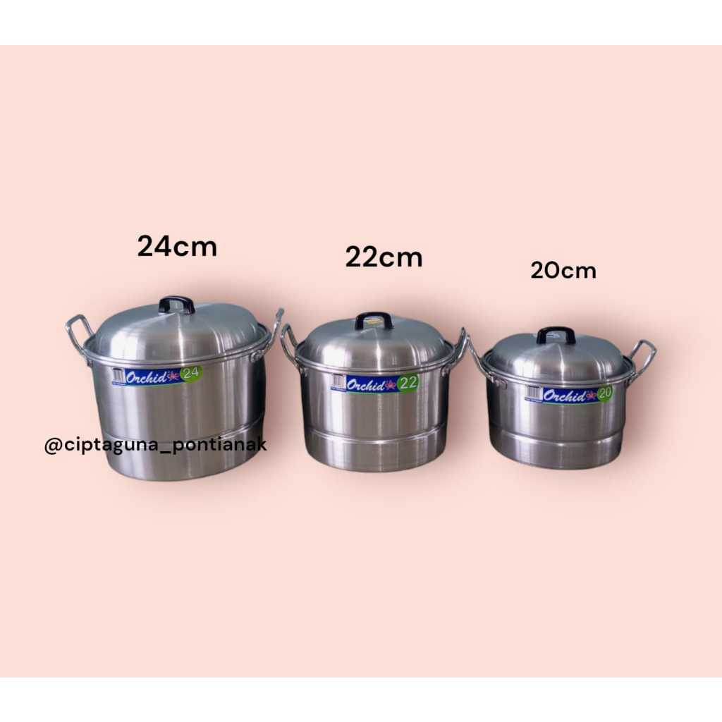 DANDANG ORCHID / KUKUSAN ORCHID UKURAN 20 - 24CM - MURAH