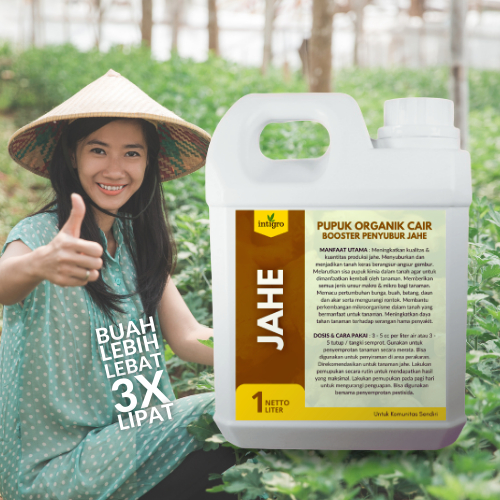 Louay_Idstore Pupuk Jahe Gajah / Pupuk Jahe Merah / Pupuk Jahe Emprit / Memperbesar Rimpang Dan