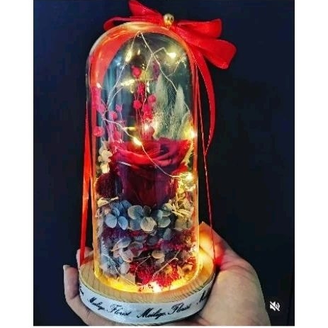 Preserved Rose Glass Dome / Preserved Glass Dome