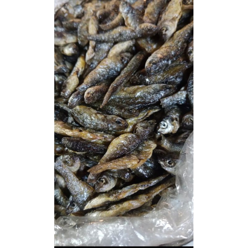

ikan bili padang