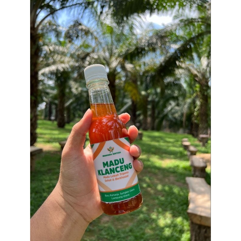 

Madu Klanceng Asli 100% - Madu murni klanceng 300 gr