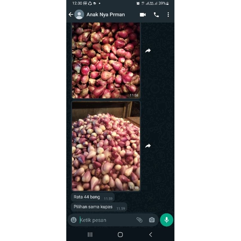 

bawang merah brebes