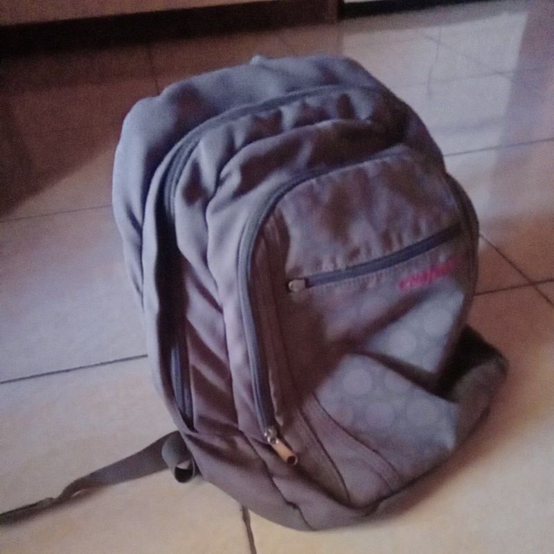 tas export pl
