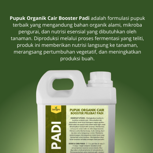 Shopritz Pupuk Booster Padi / Pupuk Cair Padi / Pupuk Semprot Untuk Tanaman Dan Buah Padi / Pupuk