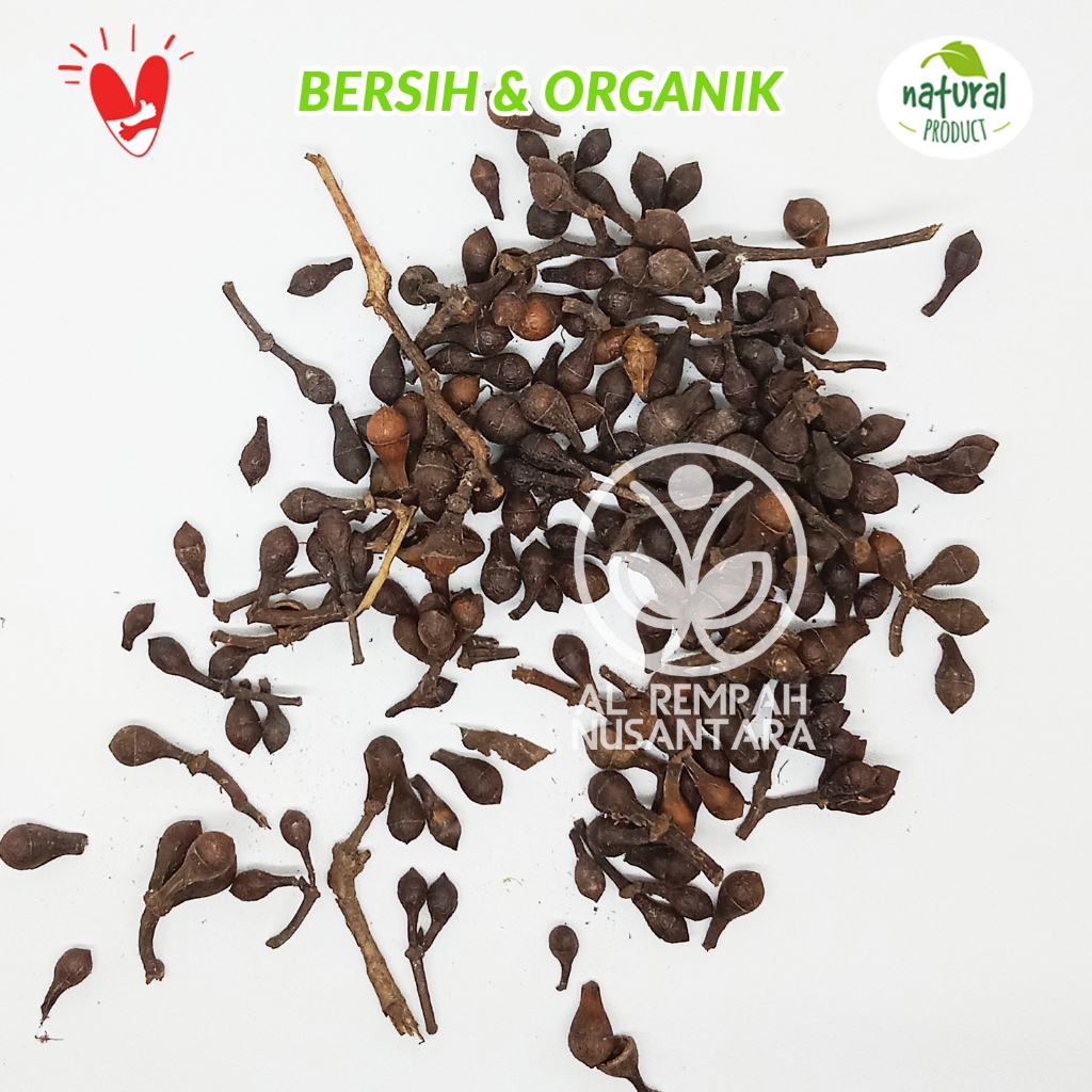 

Biji Ceplikan 1kg atau Ceplik Sari kering - Asli Hutan