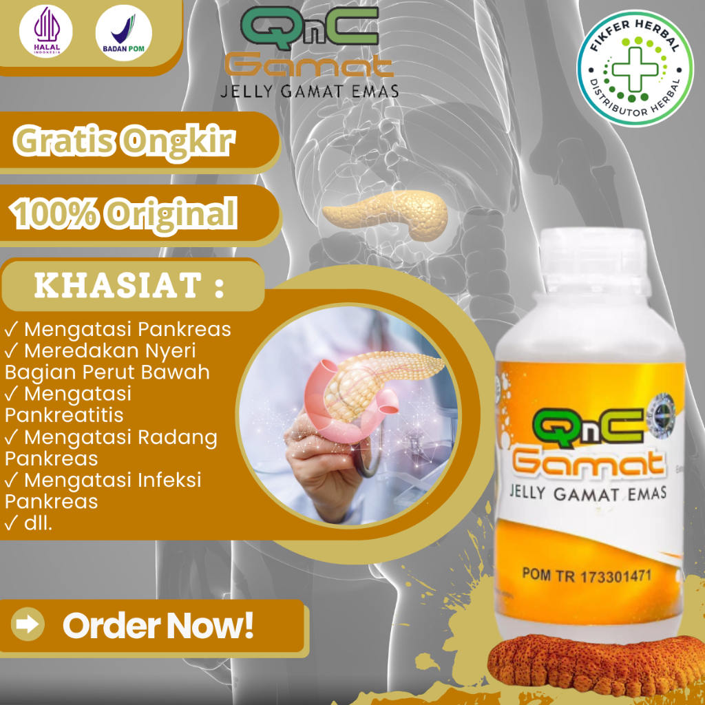 Obat Pankreas, Obat Radang Pankreas, Pankreas Korinis, Pankreas Akut, Obat Pankreatitis, Obat Infeks