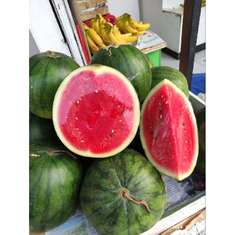 

Buah Semangka Merah Tanpa Biji