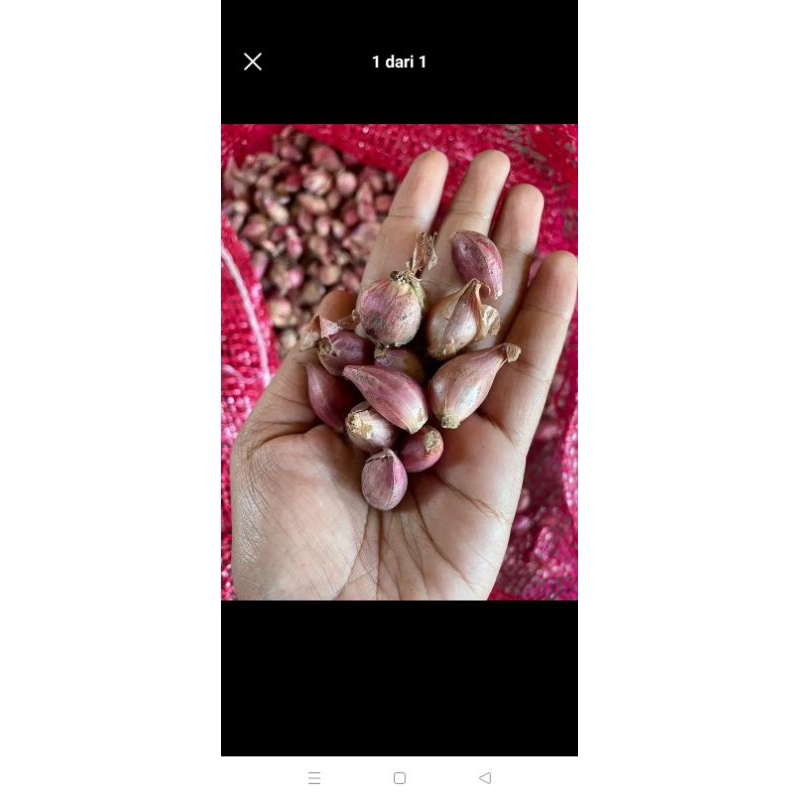 

bawang merah ayakan 1000gram