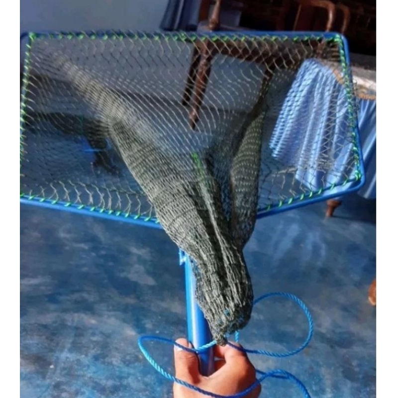 serok brojol ikan lele dan ikan jumbo