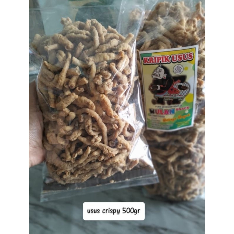 

kripik usus