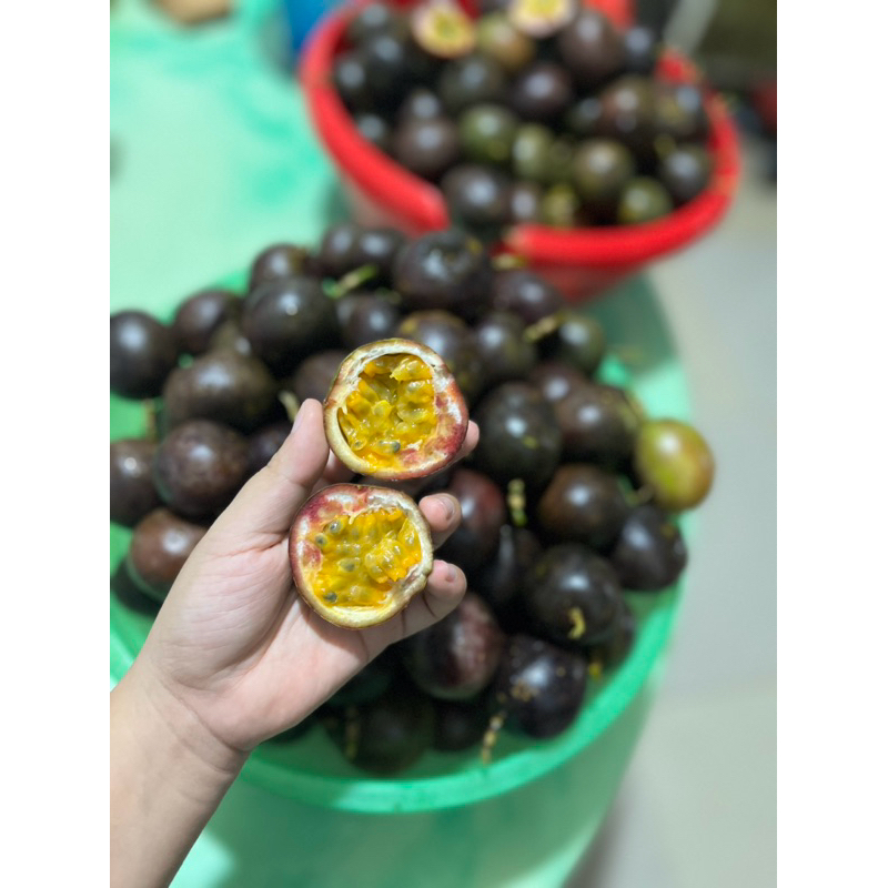 

MARKISA HOMEMADE