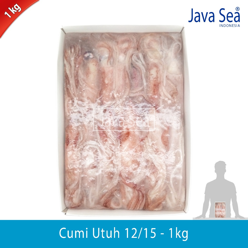 

Cumi Utuh 12/15 pack 1kg Java Sea