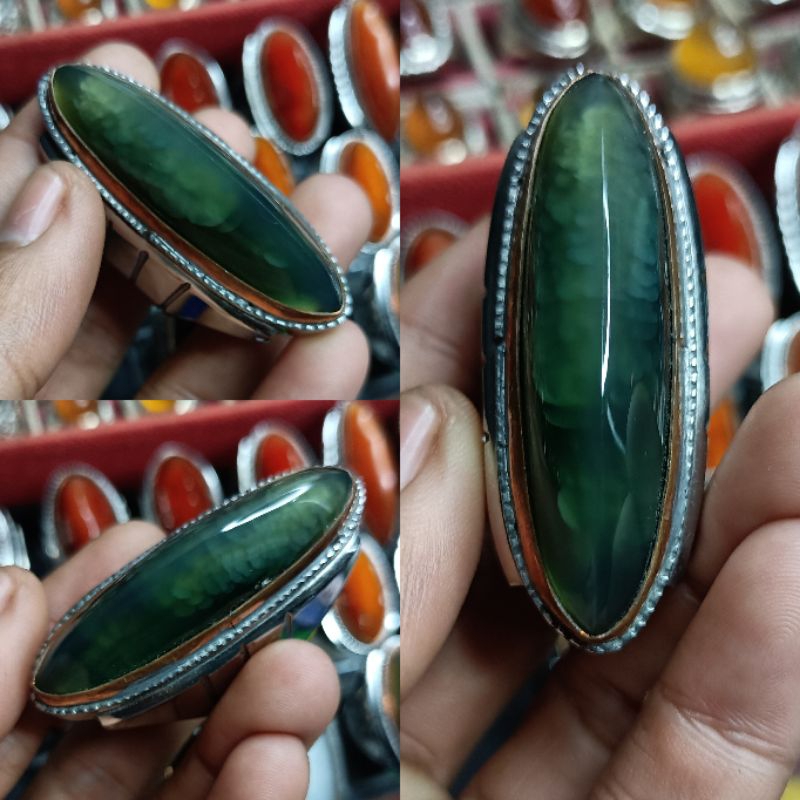 PANDAN LUMUT SISIK BETOK