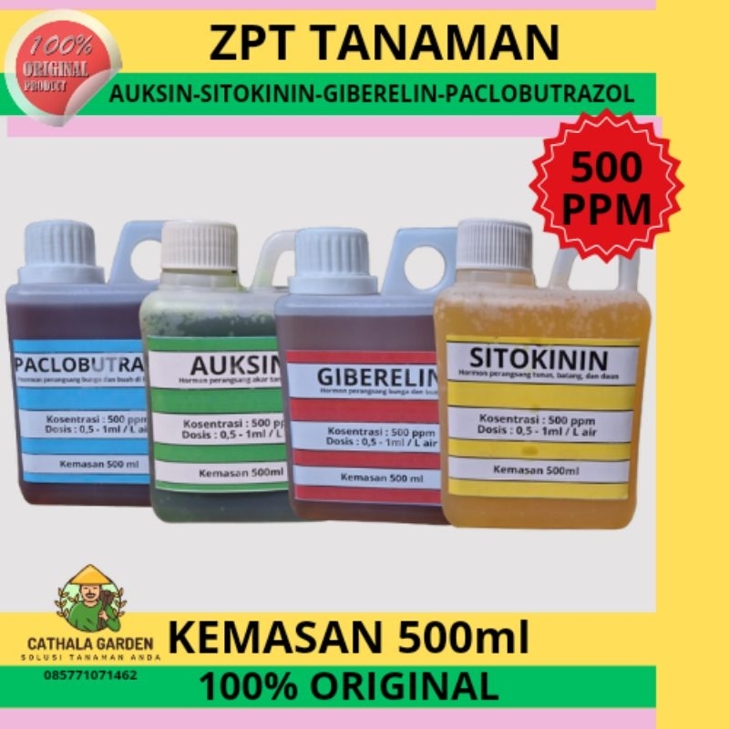 ZPT HORMON TANAMAN 500 PPM KEMASAN 500 ML AUKSIN SITOKININ GIBERELIN PACLOBUTRAZOL