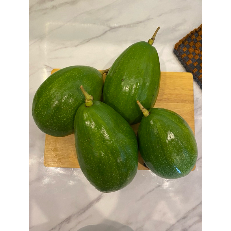 

ALPUKAT JUMBO ALIGATOR [ 3 KG isi 4 Buah]