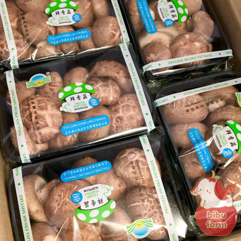 

Jamur Shitake China Berat 200 Gram/Pack