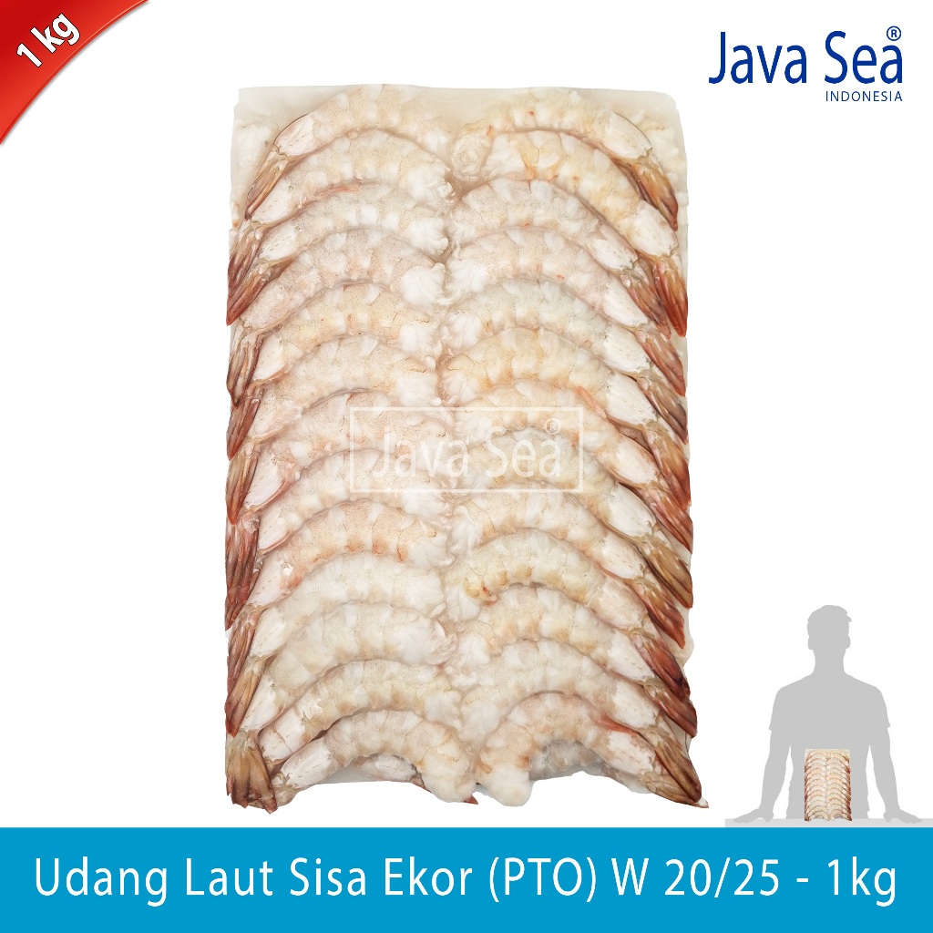 

Udang Laut Sisa Ekor PTO W 20/25 pack 1kg Java Sea