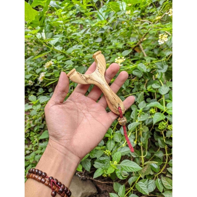 Ketapel kayu asem jawa