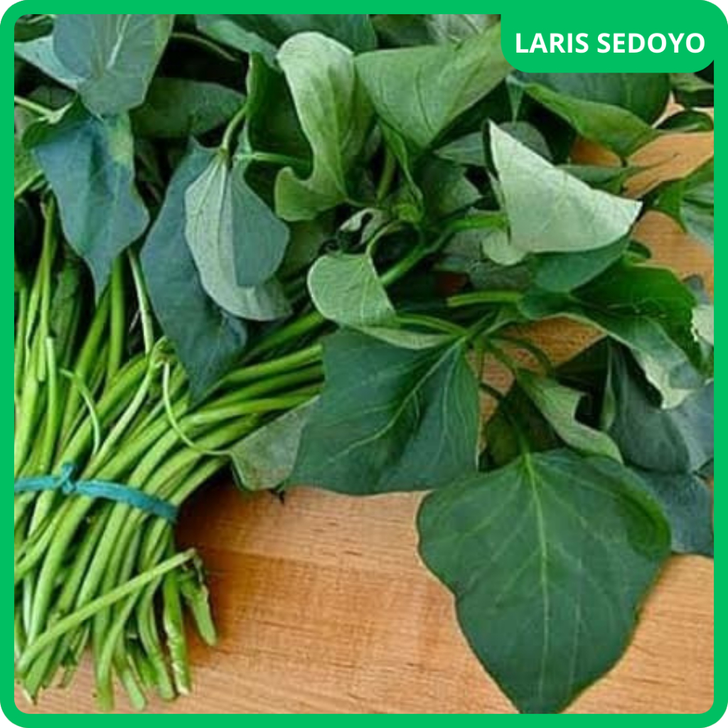 

LS - Daun Ubi Sayur Segar