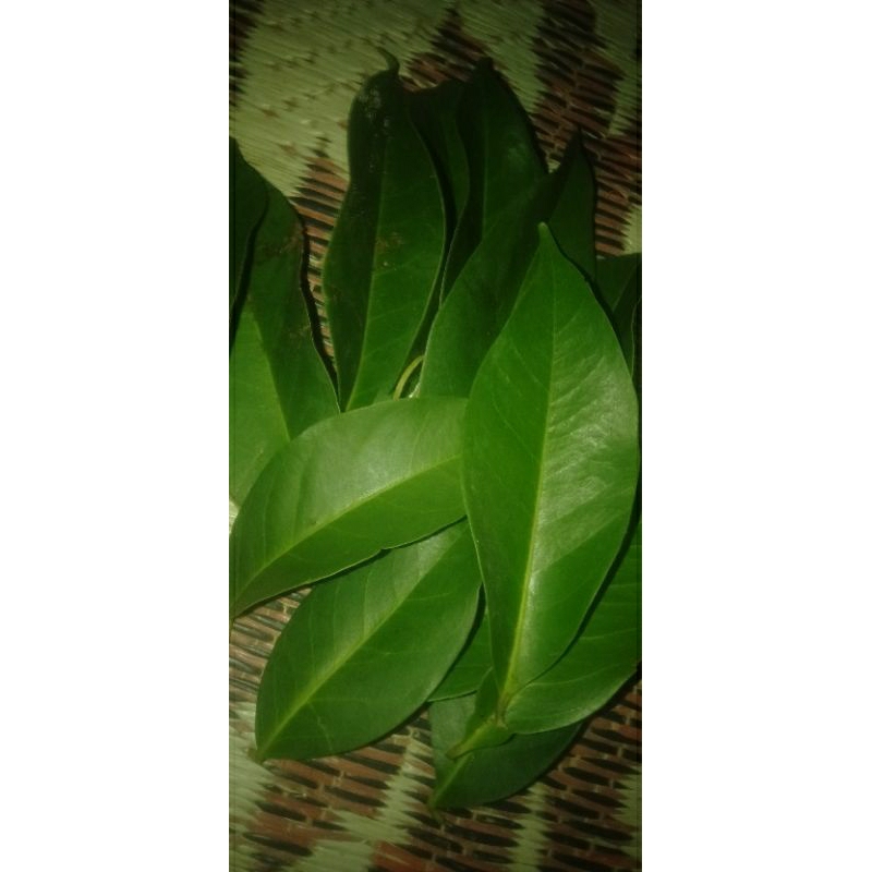 

daun salam 1iket