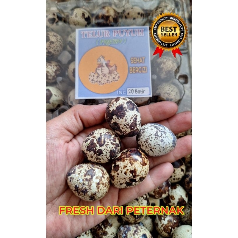 isi 20 BUTIR TELUR PUYUH SEGAR ( FRESH ) KEMAS MIKA DARI KANDANG