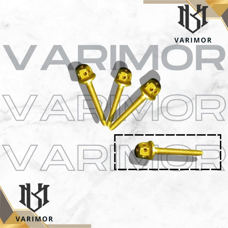 BAUT VISOR NMAX