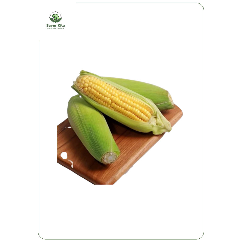 

Jagung Manis Segar [1 Pcs]
