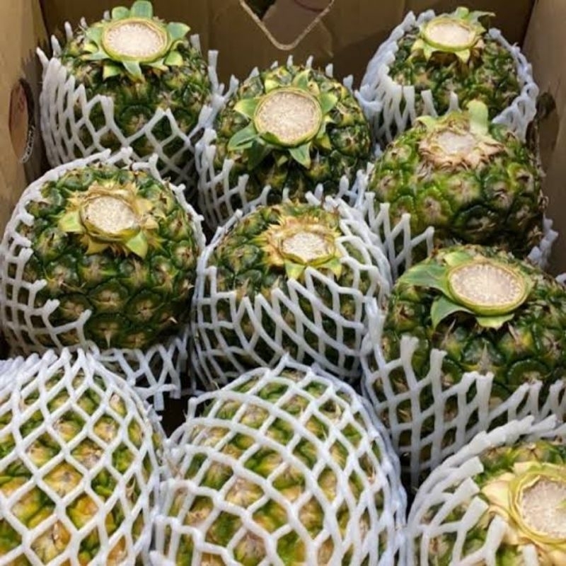 Nanas Sunpride 1 Dus