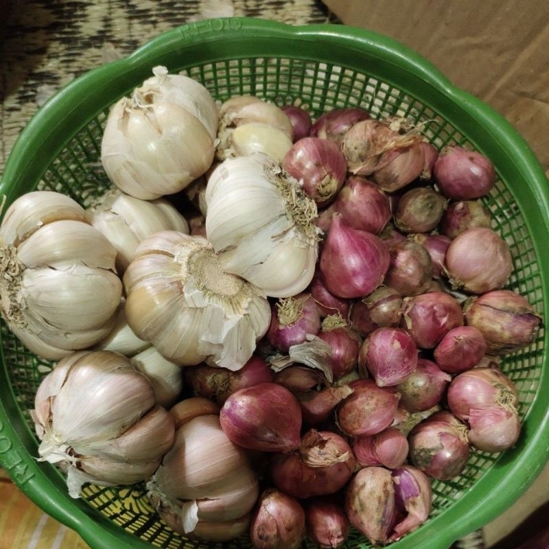 

PAKET BAWANG MERAH ½ kg DAN BAWANG PUTIH ½kg- BAWANG MERAH-bawang putih