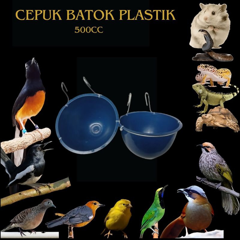 cepuk batok plastik tempat pakan ayam Bangkok unggas dll