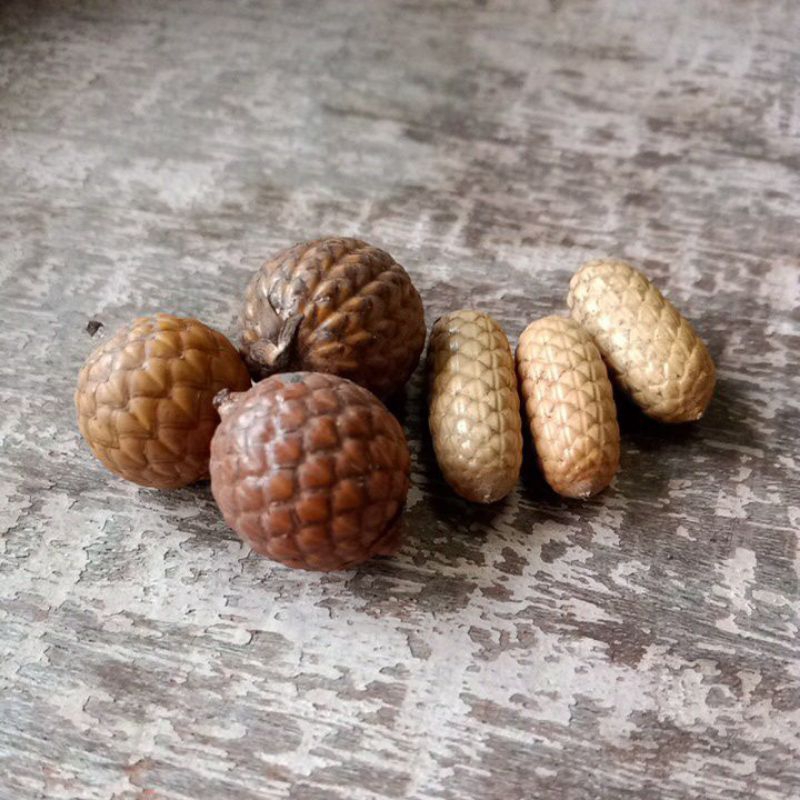 BIJI ROTAN Bulat Oval