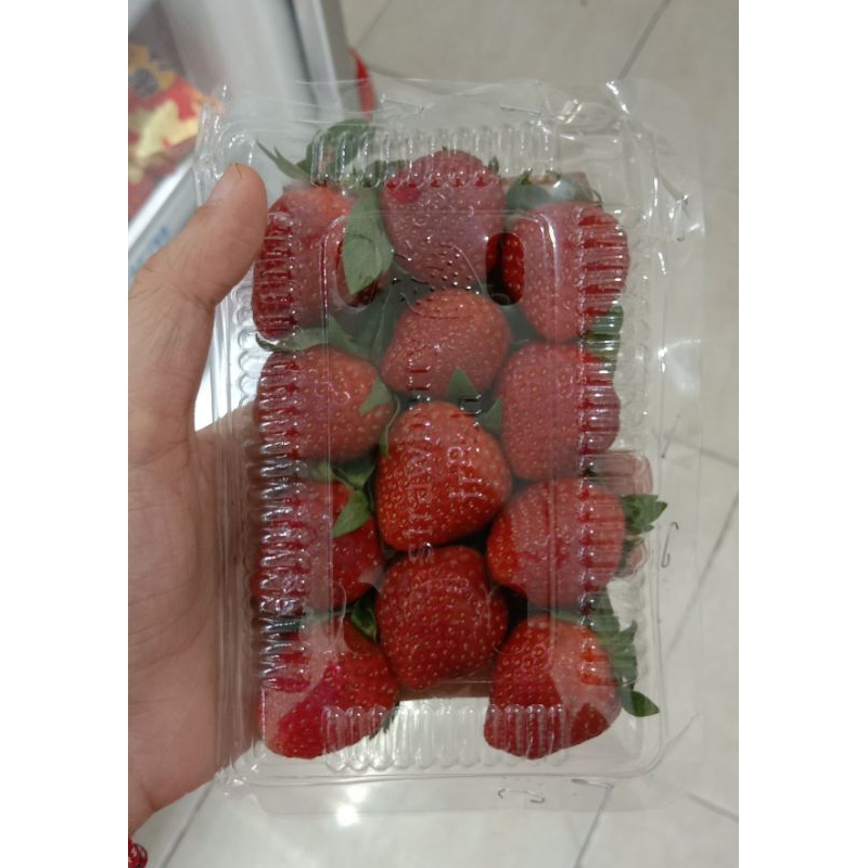 

Strawberry/Stroberi 1 pax