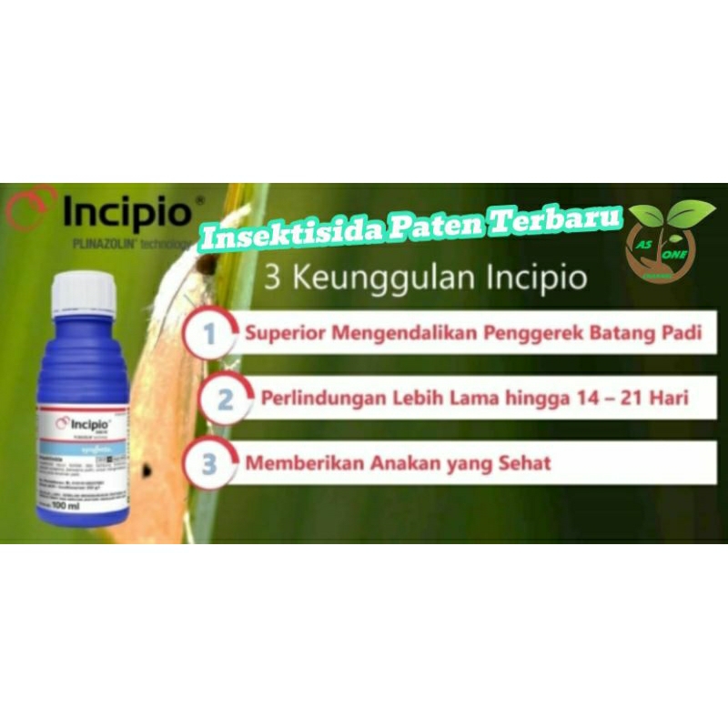 Insektisida Paten Terbaru INCIPIO 200 SC SYNGENTA